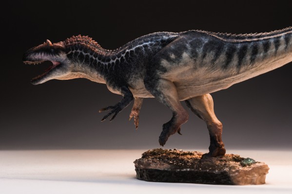 食蜥王龙2.0 （1:35比例）