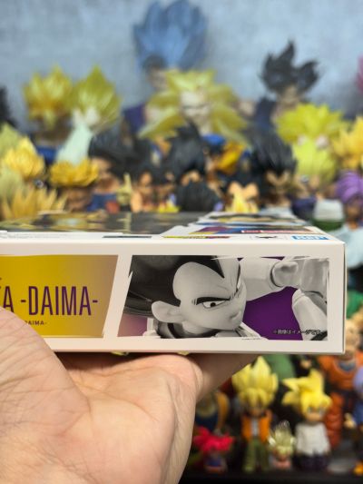 S.H.Figuarts 贝吉塔-龙珠大魔-