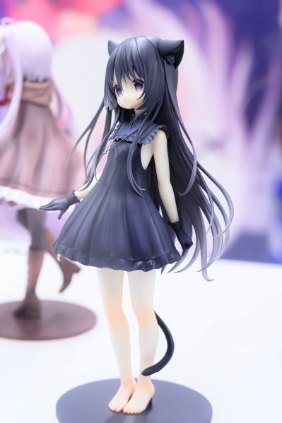 星空列车与白的旅行 音理