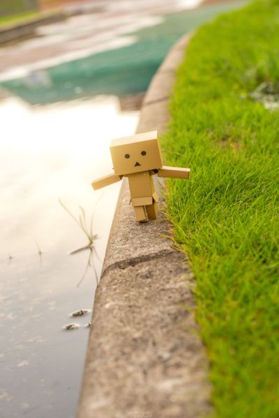 玩具箱里乱扔也OK软胶2  四叶妹妹！ 阿楞