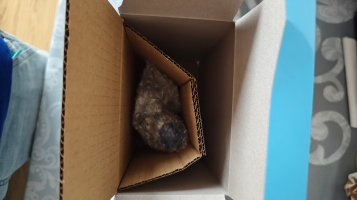 压泡面 败犬女主太多了！八奈见杏菜