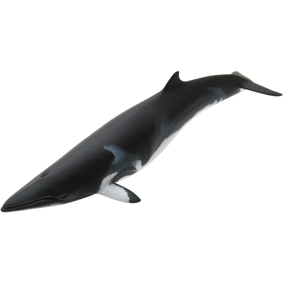 日本自然 日本的生物1