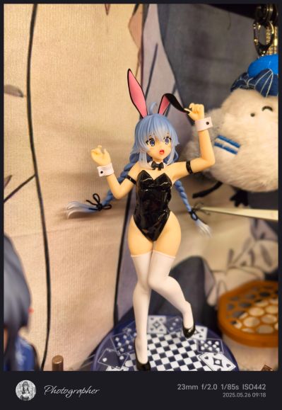 Vivit 无职转生2 ~到了异世界就拿出真本事~  洛琪希·米格路迪亚 兔女郎