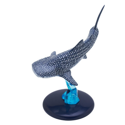 自然科技色彩-400 鲨鱼