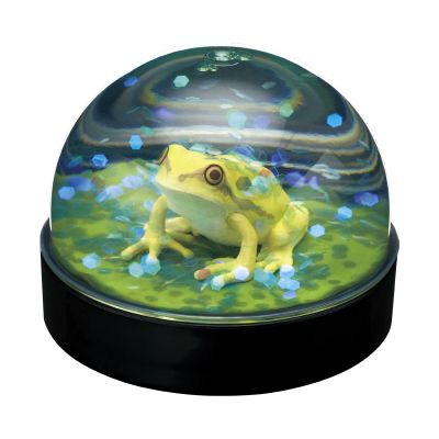 水穹顶工厂 日本雨蛙