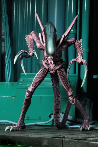 NECA-异形大战铁血战士街机版-剃刀爪异形
