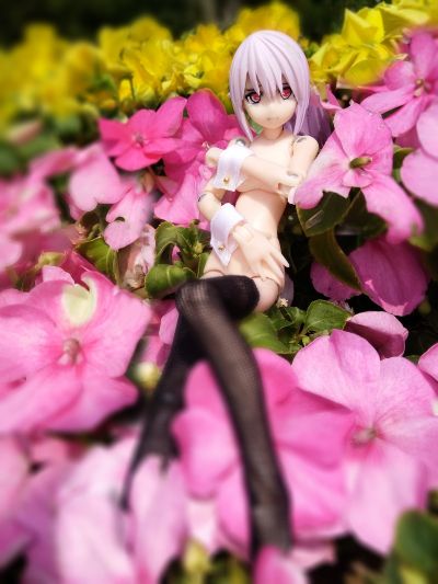 武装神姫 吉鲁贝伦 剣士型MMS