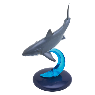 自然科技色彩-400 鲨鱼