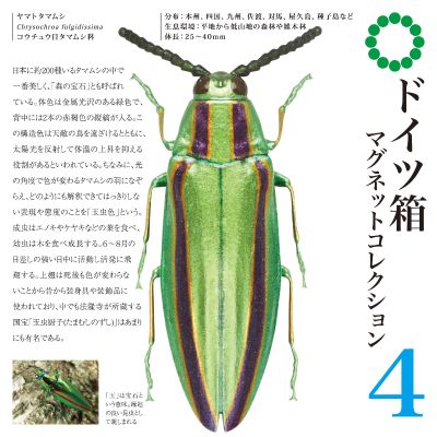 STC德国盒磁铁系列4