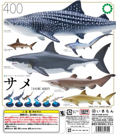 自然科技色彩-400 鲨鱼