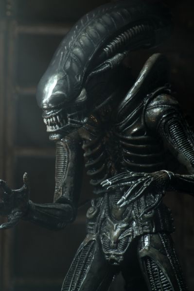 NECA《异形》40周年纪念终极版大型异形（Big Chap）