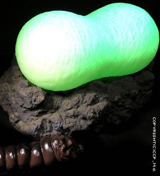 PLEX×CCP合作系列 Vol.002 摩斯拉的茧套装（普通，蓄光Ver.）