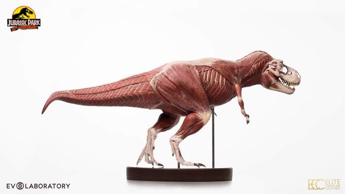 侏罗纪公园 1:12 比例解剖图霸王龙