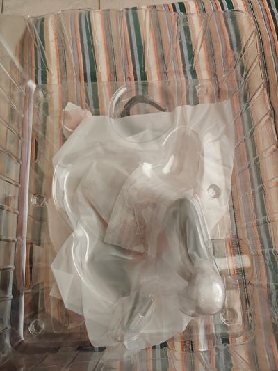 立刻就能插入 女高中生 美耶子系列 虎城美耶子 黑辣妹