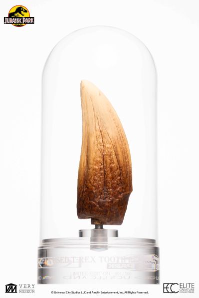侏罗纪公园霸王龙牙齿复制品
