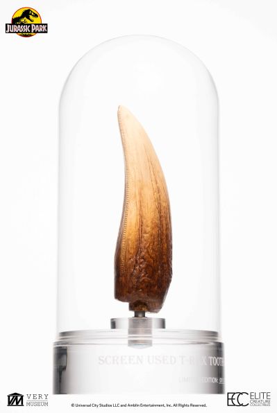 侏罗纪公园霸王龙牙齿复制品