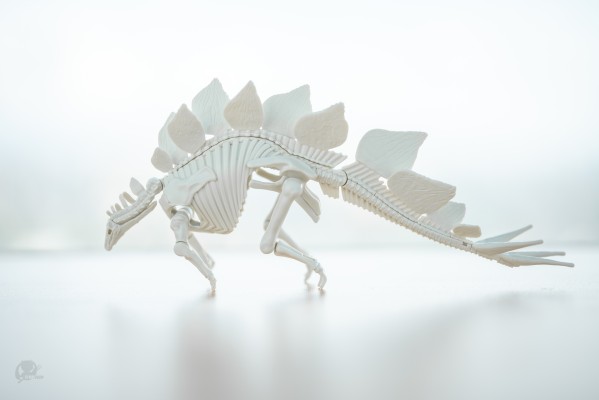 恐龙拼装模型 剑龙