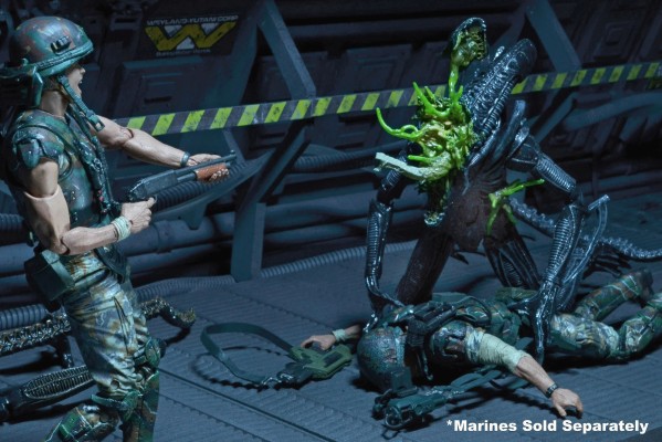 《异形》第十二系列 - 战损版异形战士7英寸比例可动人偶（蓝色）