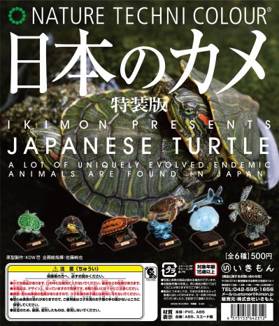 NTC 日本海龟 特装版