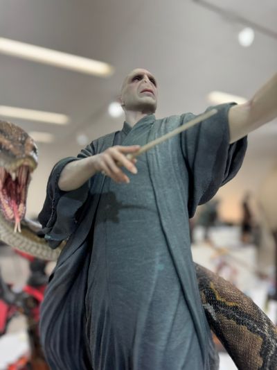 哈利·波特 伏地魔