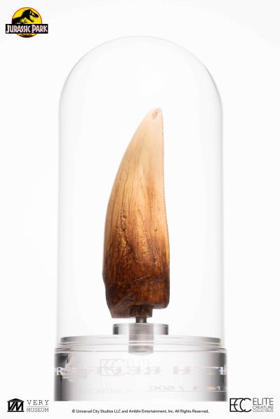 侏罗纪公园霸王龙牙齿复制品