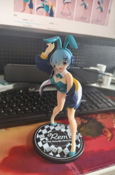 Coreful  Re：从零开始的异世界生活 雷姆 ~外套兔女郎~ 新装版