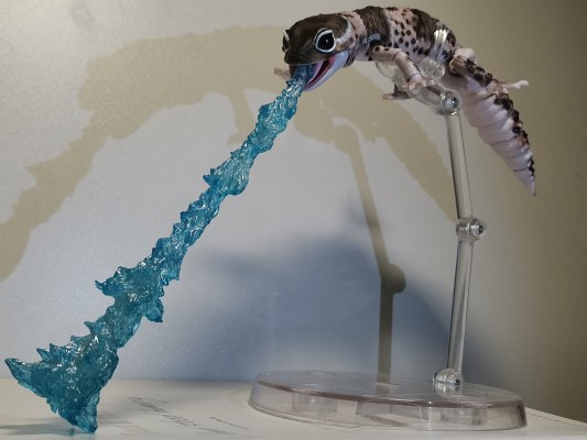 进化生物大图鉴 肥尾壁虎