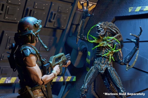 《异形》第12系列 - 战损版异形战士7英寸比例可动人偶（棕色）