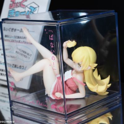 手办立方体 物语系列  忍野忍