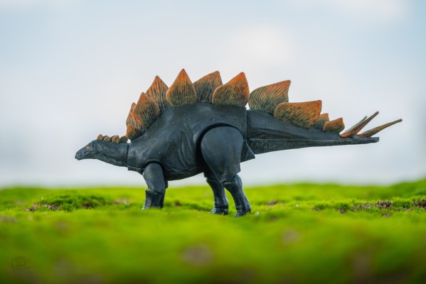 恐龙拼装模型 剑龙