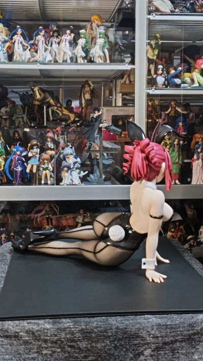 B-style 拜托了老师 风见瑞穗 兔女郎