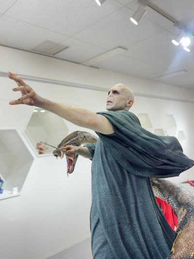 哈利·波特 伏地魔