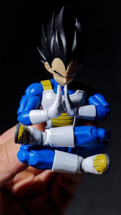 S.H.Figuarts 贝吉塔-龙珠大魔-