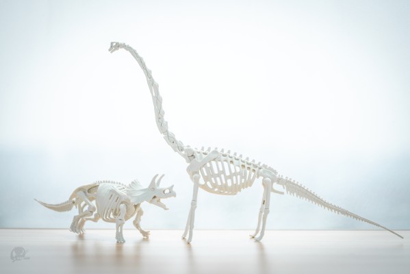 恐龙拼装模型 腕龙