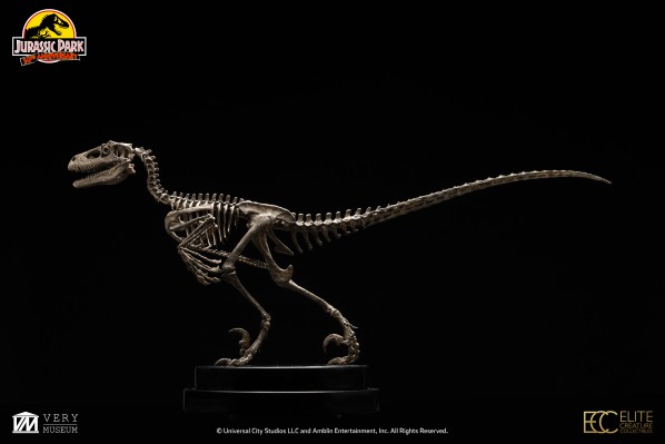 侏罗纪公园 1：8 比例迅猛龙骨架青铜制品