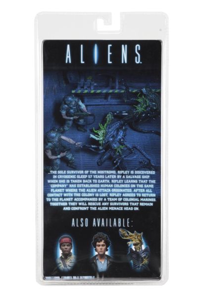 《异形》第12系列 - 战损版异形战士7英寸比例可动人偶（棕色）