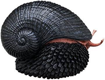 NTC MONO+深海生物磁铁与球链