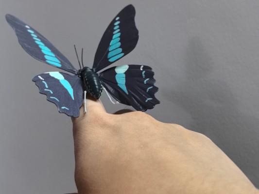 进化生物大图鉴 燕尾蝶 展示架套装