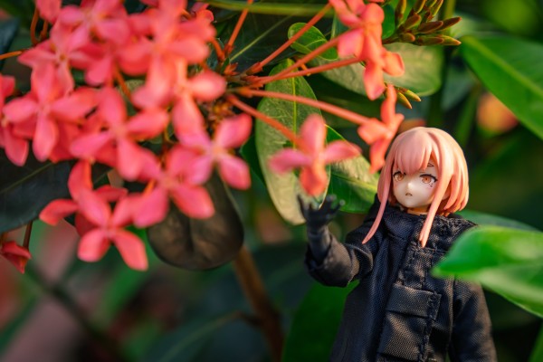 figma Styles  机能服