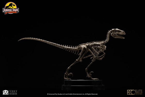 侏罗纪公园 1：8 比例迅猛龙骨架青铜制品