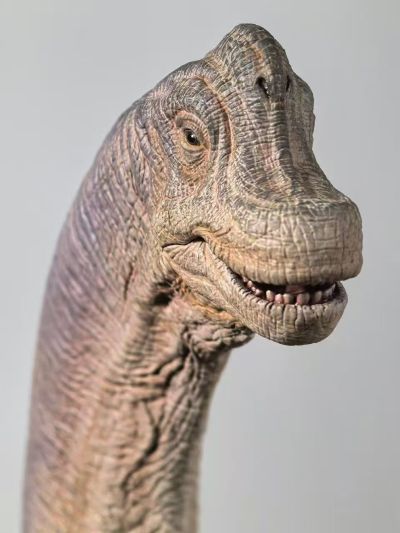 侏罗纪公园 腕龙