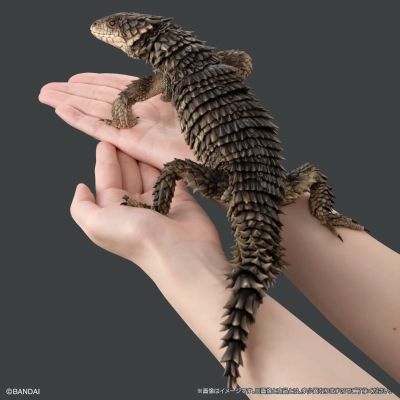 终极生物大图鉴 巨型环尾蜥