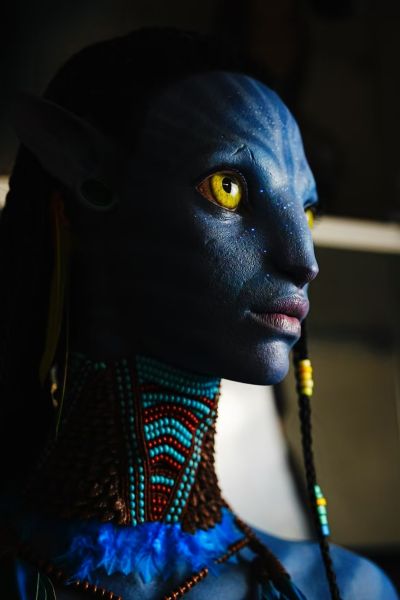 阿凡达:水之道  涅提妮 半身像