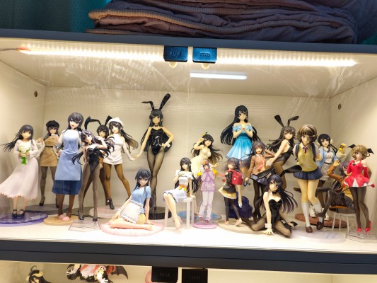 BiCute Bunnies 青春猪头少年不会梦见兔女郎学姐 樱岛麻衣