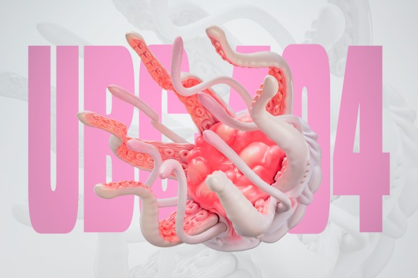 UBC-404 成体亚种 可动地台