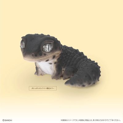 生物大图鉴 软胶收藏系列 豹纹守宫与睫角守宫