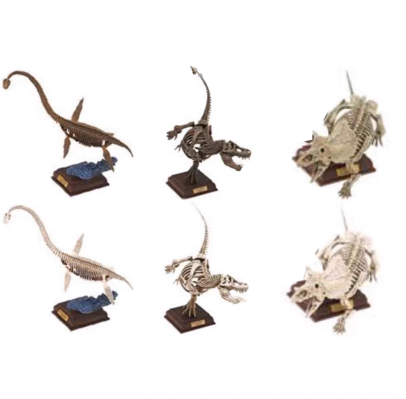 自然科技色彩 古生物