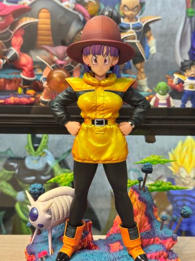 S.H.Figuarts 龙珠Z 布尔玛 -向那美克星进发-