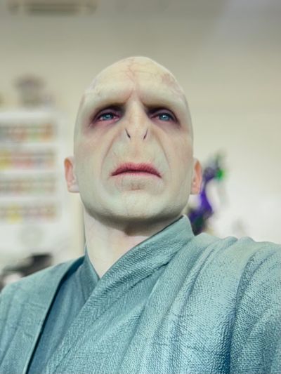 哈利·波特 伏地魔