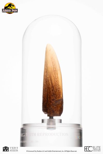 侏罗纪公园霸王龙牙齿复制品